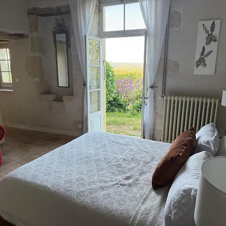 La Chartreuse A Cahuzac Villa Larressingle